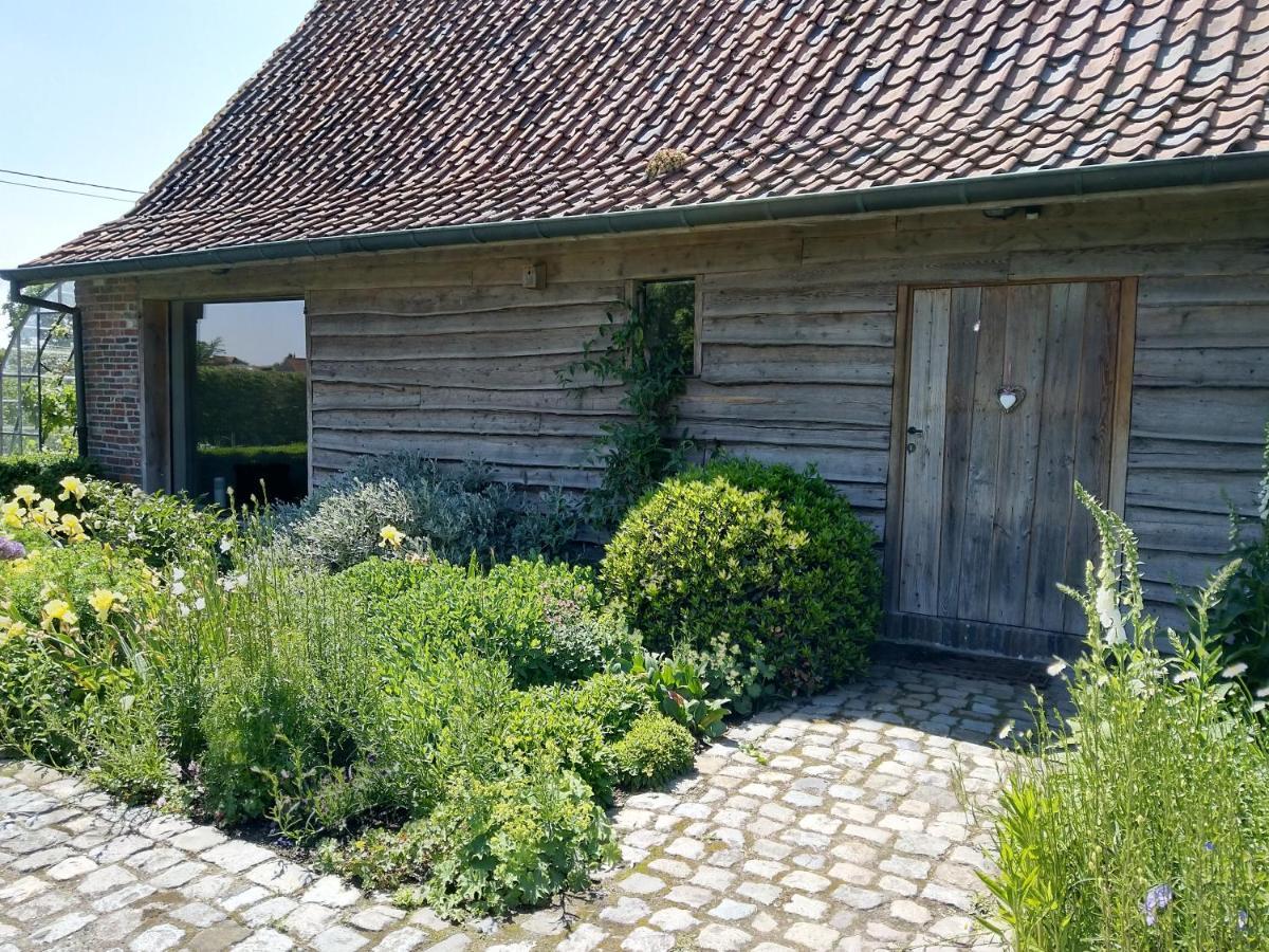 B&B De Hulst 伊泽赫姆 外观 照片