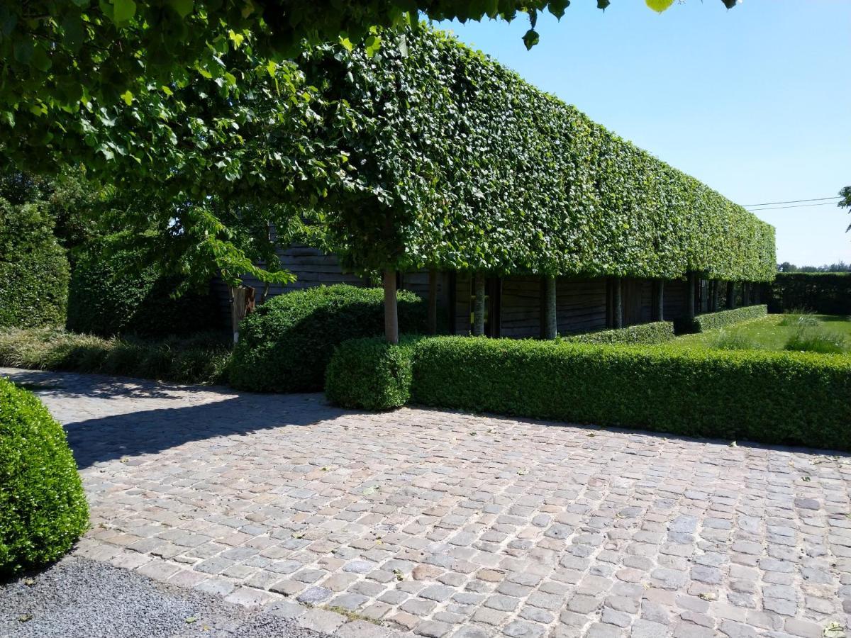B&B De Hulst 伊泽赫姆 外观 照片