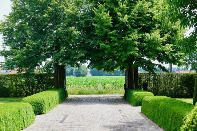 B&B De Hulst 伊泽赫姆 外观 照片