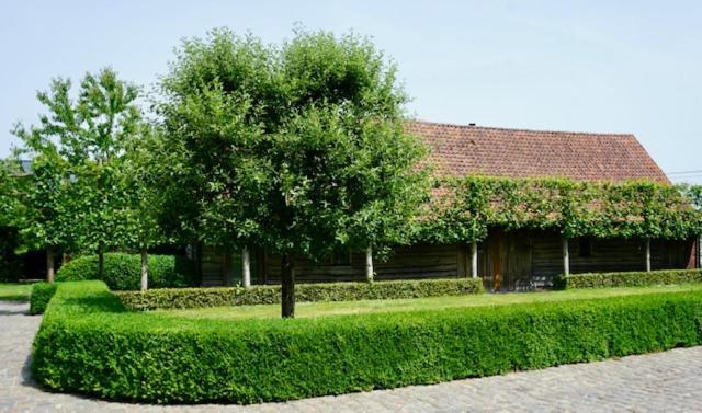 B&B De Hulst 伊泽赫姆 外观 照片